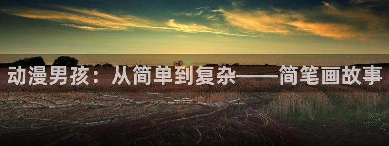 风车动漫网6：动漫男孩：从简单到复杂——简笔画故事