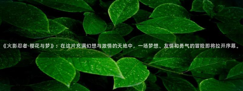 风车动漫网p：《火影忍者·樱花与梦》：在这片充满幻想与激情的天地中，一场梦想、友情和勇气的冒险即将拉开序幕。