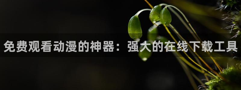 风车动漫专注的门户网站：免费观看动漫的神器：强大的在线下载工具